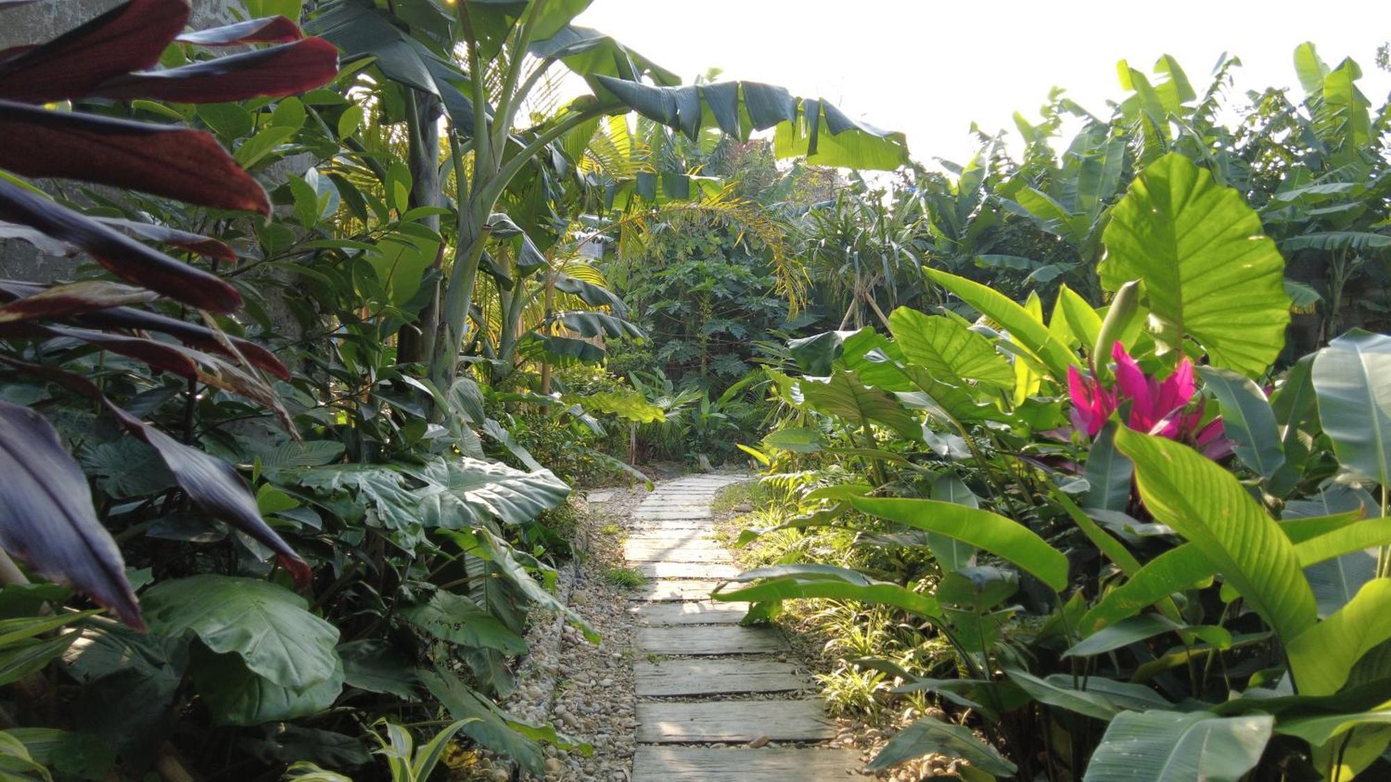 Amy House Daire Ninh Binh Dış mekan fotoğraf