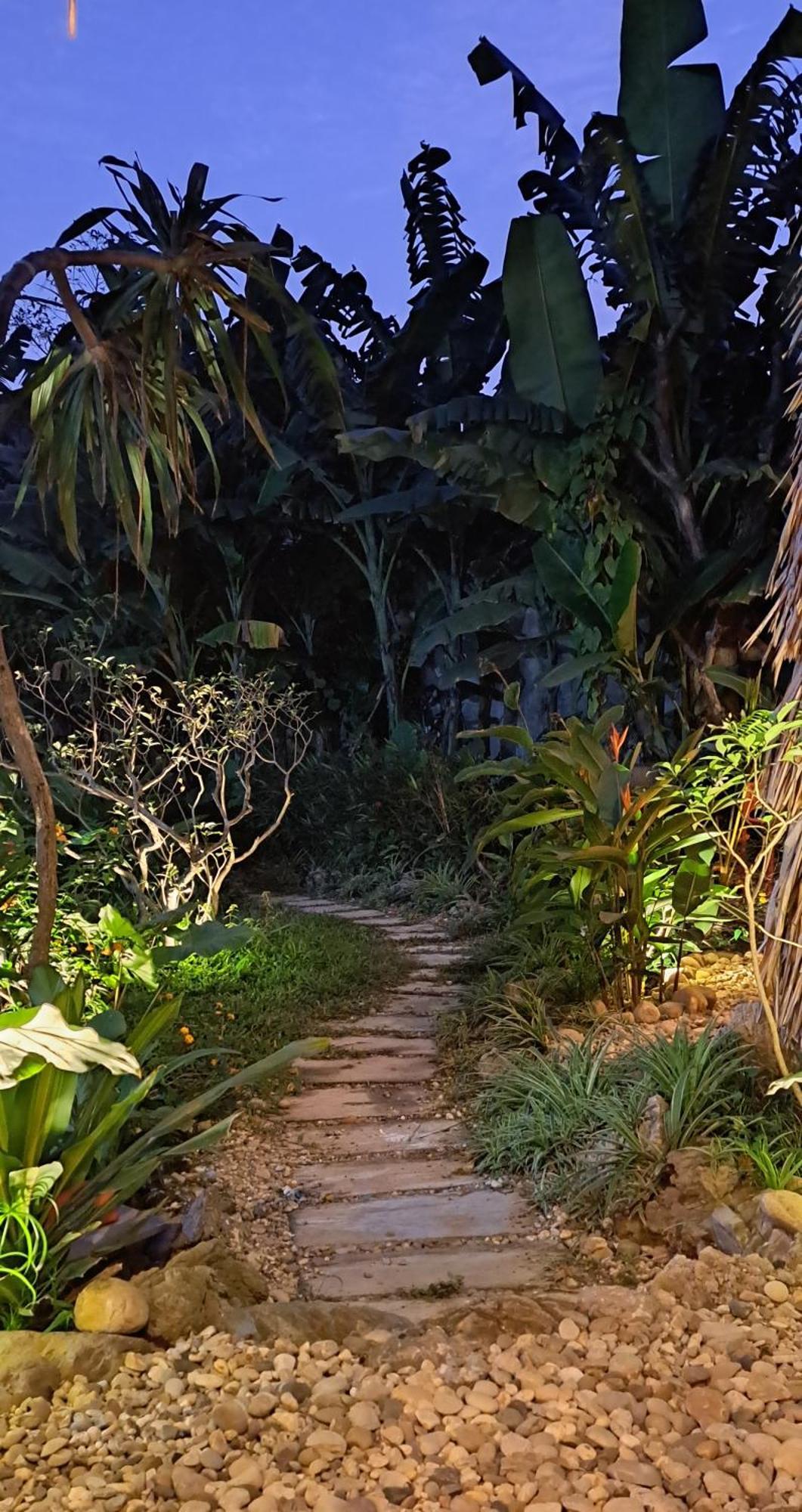 Amy House Daire Ninh Binh Dış mekan fotoğraf
