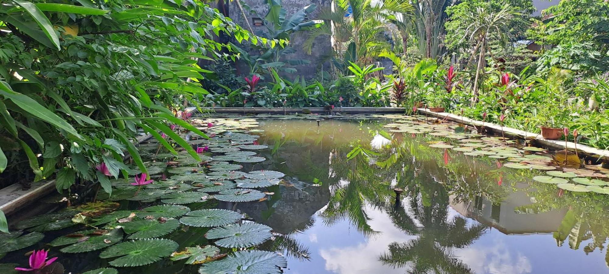 Amy House Daire Ninh Binh Dış mekan fotoğraf